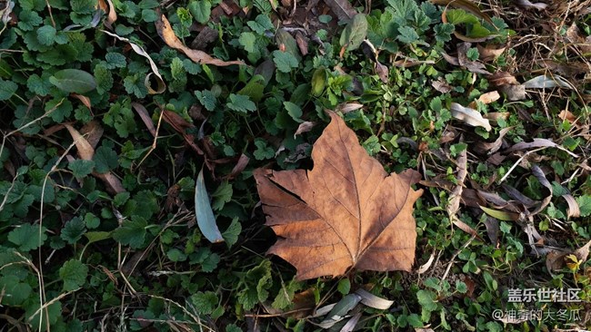 最超值的三星旗艦，三星Galaxy C9 Pro使用體驗(yàn)