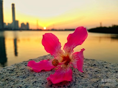 我在南方享受著暖陽，卻想著北方的雪景。