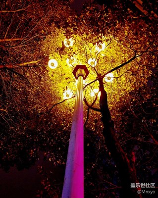 只是根電桿街燈而已