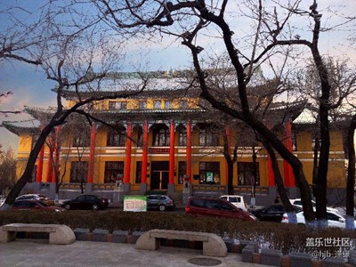 大學(xué)生的搖籃