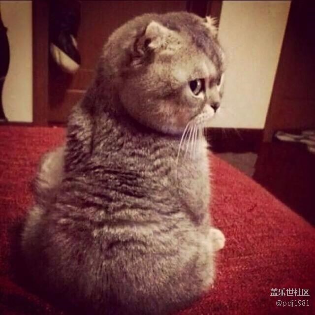 說(shuō)好的pay支持上海公交呢！5:00就開(kāi)始等了。