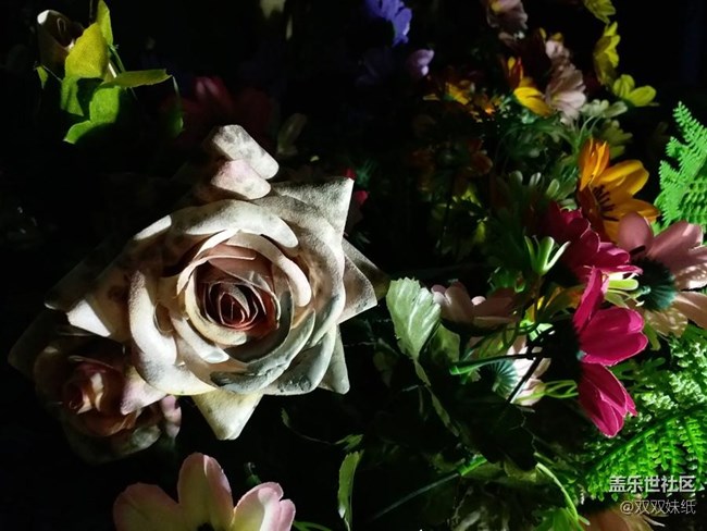 旗艦之下好選擇，三星C9 Pro剛剛好