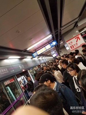 雙十一擠三號(hào)線(xiàn)逛了西安世園會(huì)