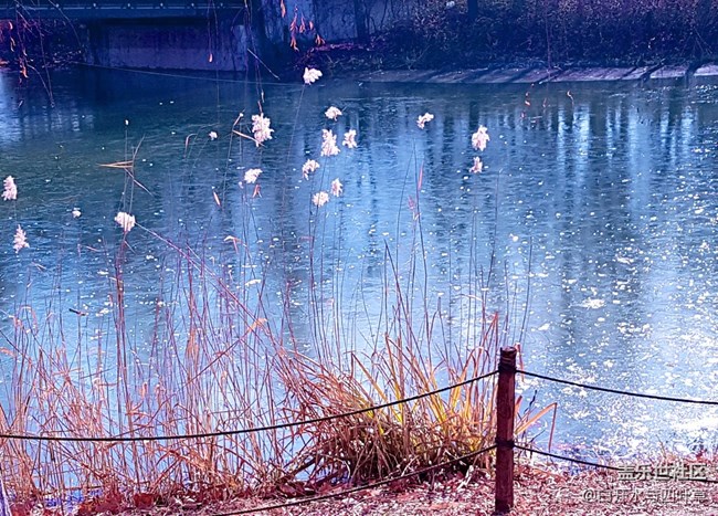 每周精帖匯【第35期：      】