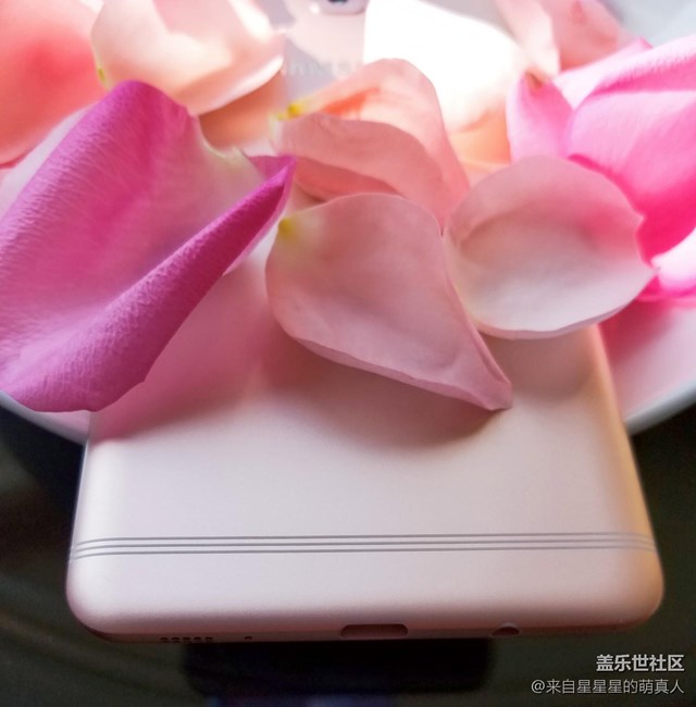 從C9薔薇粉的9個(gè)方面簡(jiǎn)單講講我的切實(shí)體驗(yàn) 從C9薔薇粉的9個(gè)方面簡(jiǎn)單講講我的切實(shí)體驗(yàn)