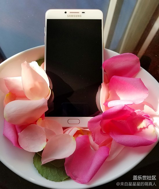 從C9薔薇粉的9個(gè)方面簡(jiǎn)單講講我的切實(shí)體驗(yàn) 從C9薔薇粉的9個(gè)方面簡(jiǎn)單講講我的切實(shí)體驗(yàn)