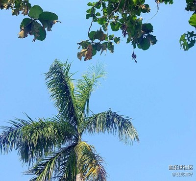 天空如梳，萬(wàn)里無(wú)云，仿佛一切在這刻顯得多么的寂靜！