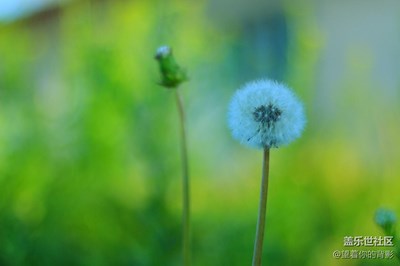 鄉(xiāng)下的風光