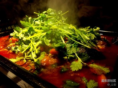 【圣誕狂歡】+虎門+無辣不歡