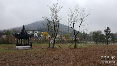 煙雨朦朧不老村