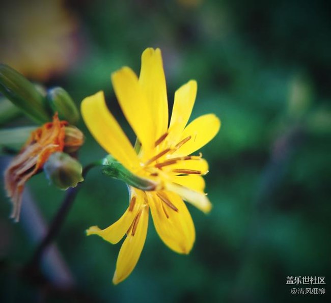 每周精帖匯【第36期： 新年新開始 邁向新階段！】