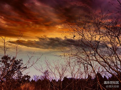 家鄉(xiāng)美---S7edge的眼神