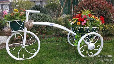 春天一般綠油油