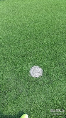 下上的陽(yáng)光正好