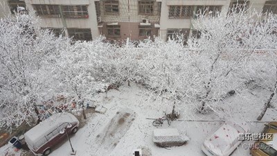 千樹萬樹梨花開