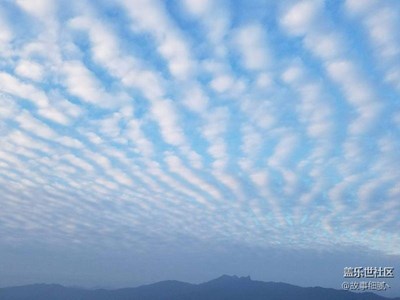 有沒有教S7專業(yè)拍照模式的??？