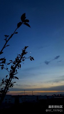 小區(qū)邊上的風景   s6