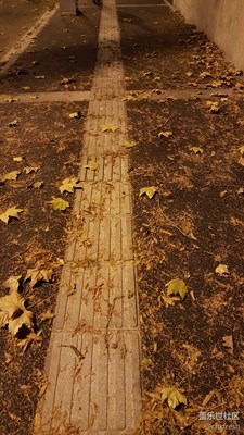 冬風(fēng)掃落葉