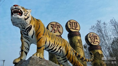 【冬天的顏色】+哈爾濱+東北虎林園一游（1）