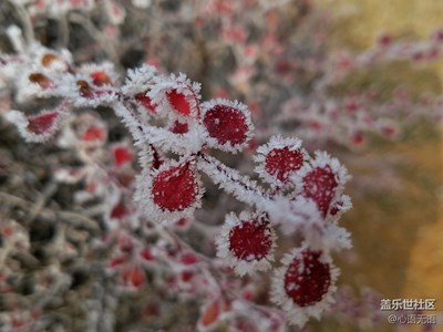 【冬天的顏色】+北京+2017年北京變成夢(mèng)幻的童話世界