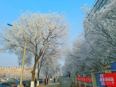 【拍吧攝影周賽第二十一期】冬天的顏色