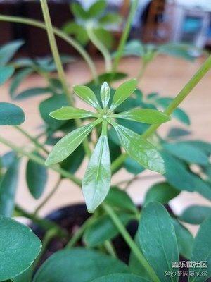 【冬天的顏色】+鎮(zhèn)江+工作室的顏色