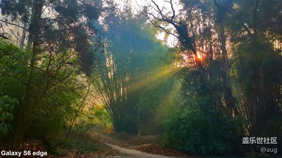 2016年總結(jié)：這一年到底都拍了什么了