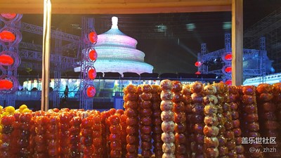 北國風(fēng)光（4）