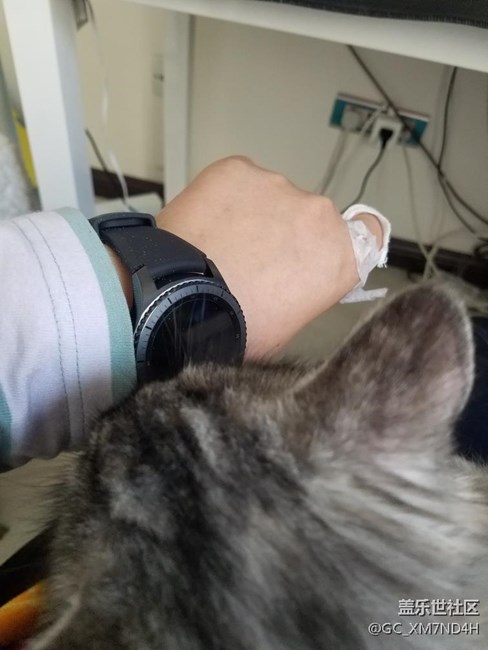 【用科技智造時間】我家貓咪對我表比我還急