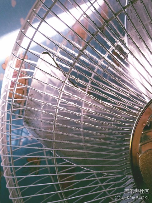 看看我這電池這樣正常不？