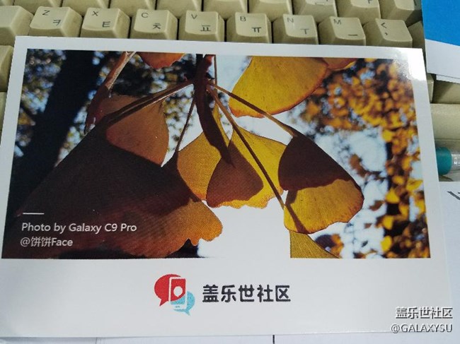 收到了，收到了