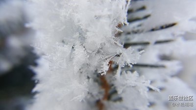 帶你看微距下的雪花