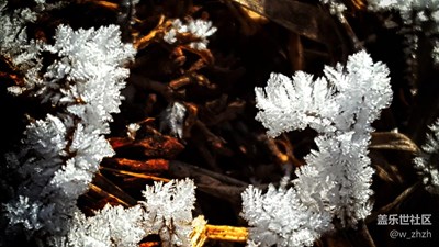 家鄉(xiāng)的冬天有*?。╩engliao)