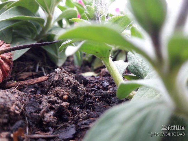 A7108升級安卓6.0