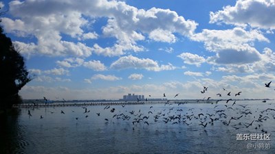 彩云之南，云南的云。