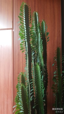 每日一拍