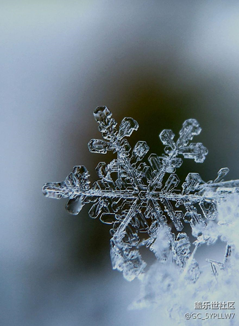 s6edge+何日升級安卓7.0啊