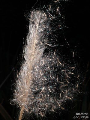 新手學(xué)拍，請(qǐng)求指點(diǎn)