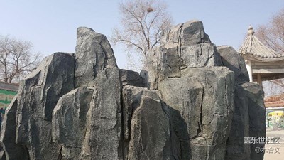 隨拍