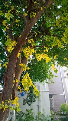 家鄉(xiāng)美+綿陽市三臺縣+春訊