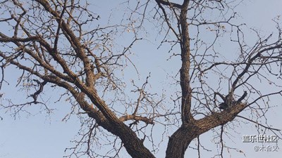 冬天快過(guò)完了還不下雪