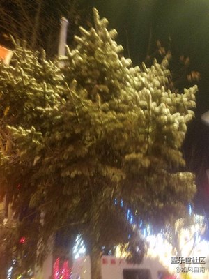 【家鄉(xiāng)美】＋沈陽(yáng)＋隨手而拍