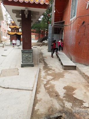 鋼管舞年輕化了嗎？