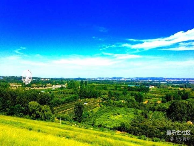 隨拍的，大神指點(diǎn)，拍的不好，歡迎來青州玩耍