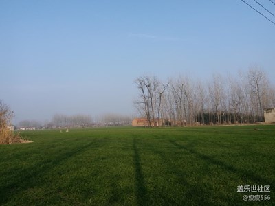 【家鄉(xiāng)美】＋泗陽＋綠油油的田地