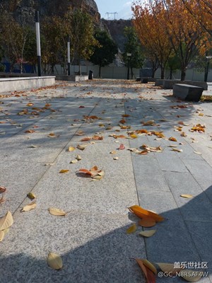 貴工秋景    C5實拍