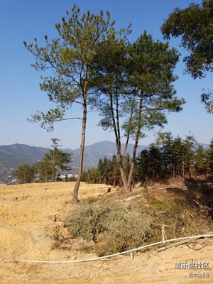 外公的新建農(nóng)場