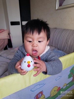 1月24日每日一圖