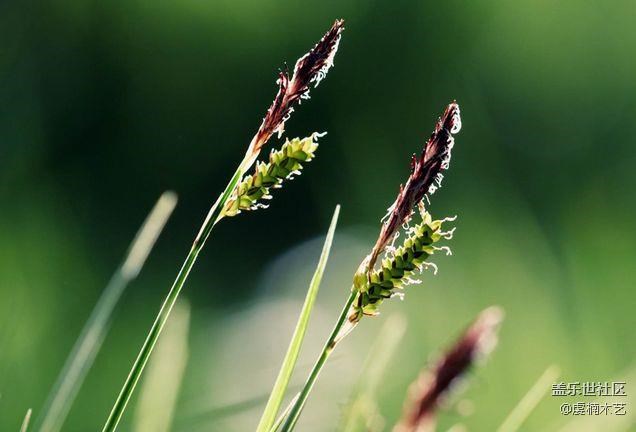 心情隨筆~且行且珍惜