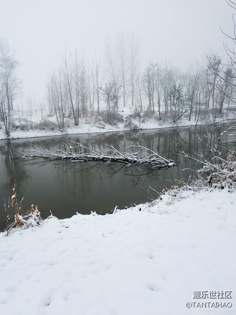 這個冬天，你們那里下雪了嗎